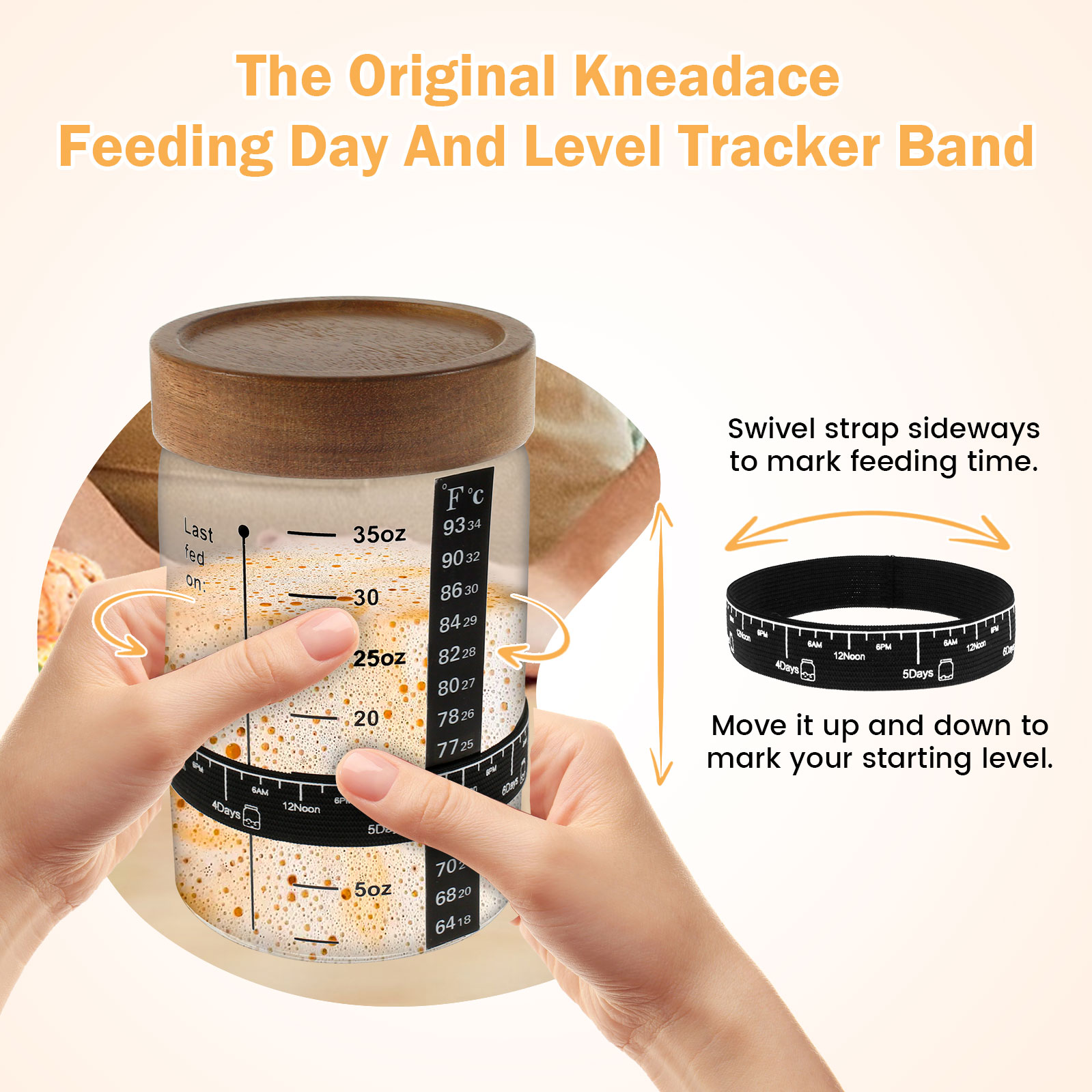 Sourdough ชุดโถสำหรับเริ่มใช้ง - Kitchen Baking Containers บทวิจารณ์และราคา