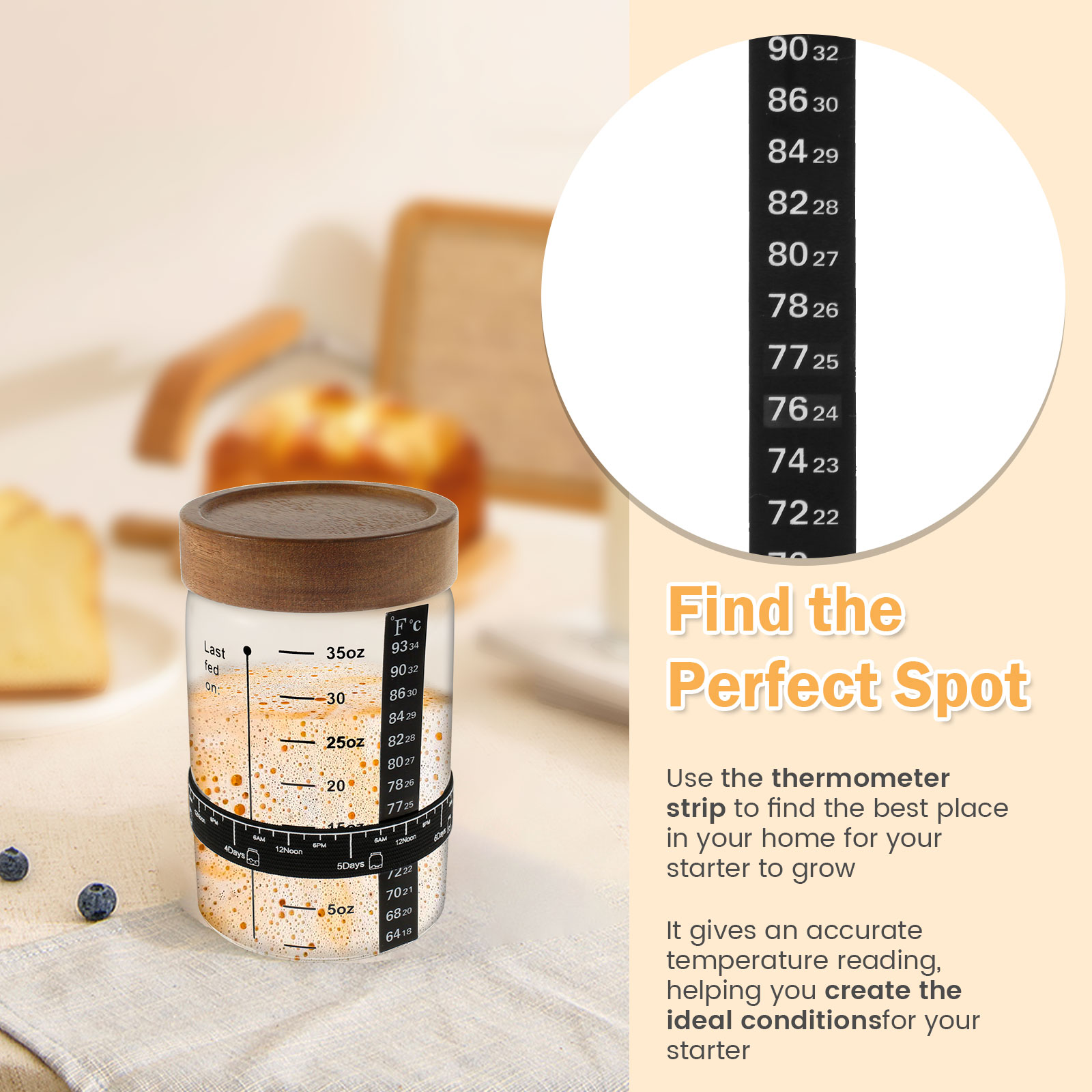 Sourdough ชุดโถสำหรับเริ่มใช้ง - Kitchen Baking Containers บทวิจารณ์และราคา